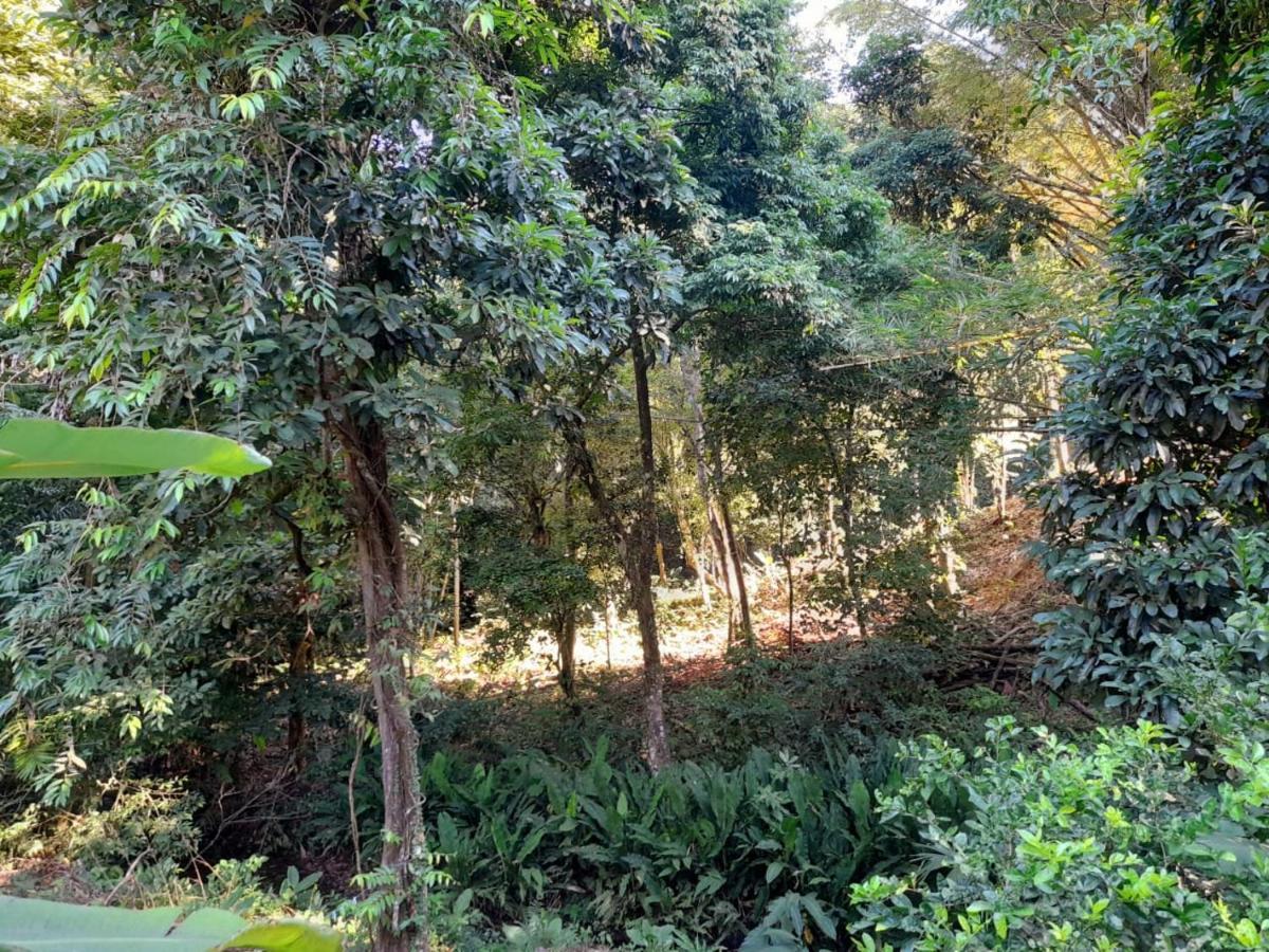 Casa Escondida Apartments Nationalpark Nationalpark Manuel Antonio Exterior foto