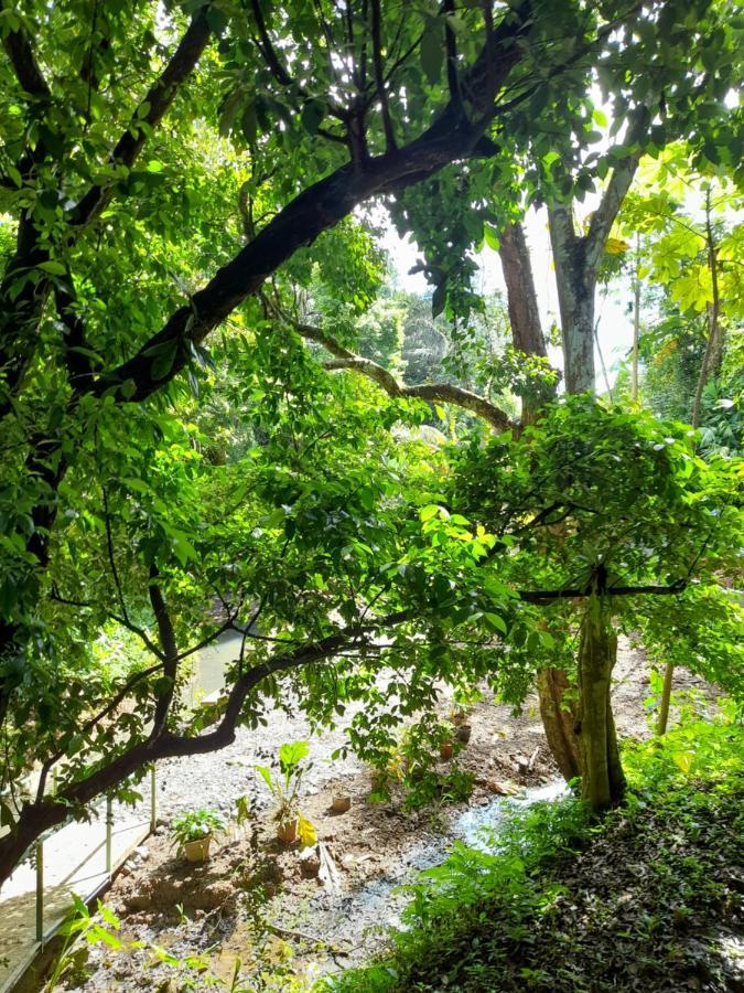 Casa Escondida Apartments Nationalpark Nationalpark Manuel Antonio Exterior foto