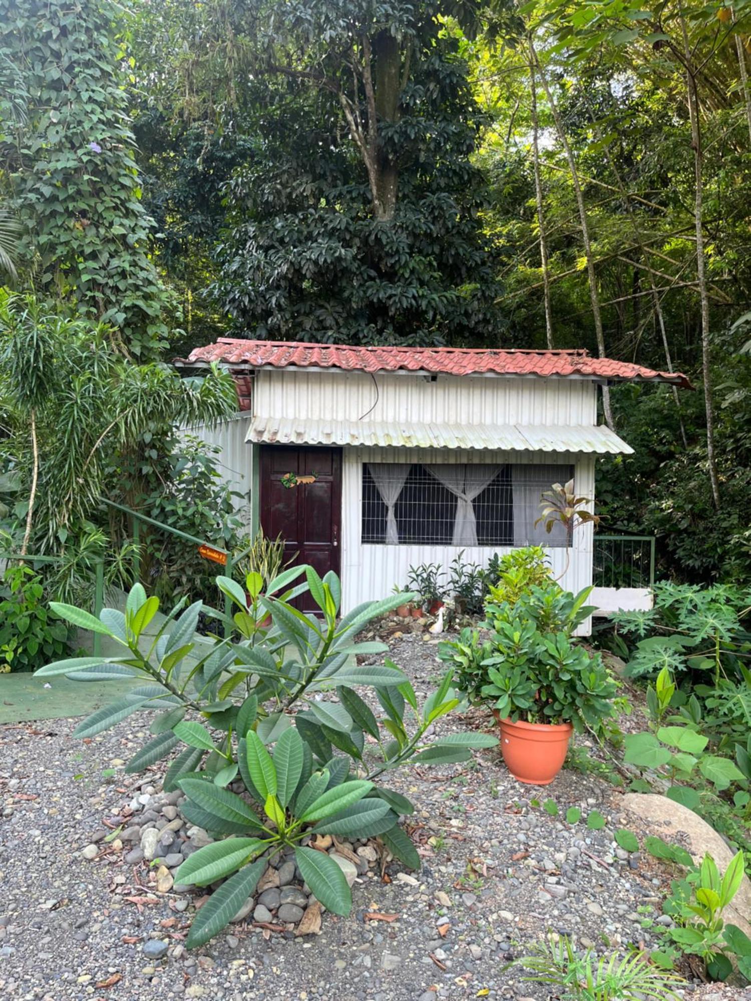 Casa Escondida Apartments Nationalpark Nationalpark Manuel Antonio Exterior foto